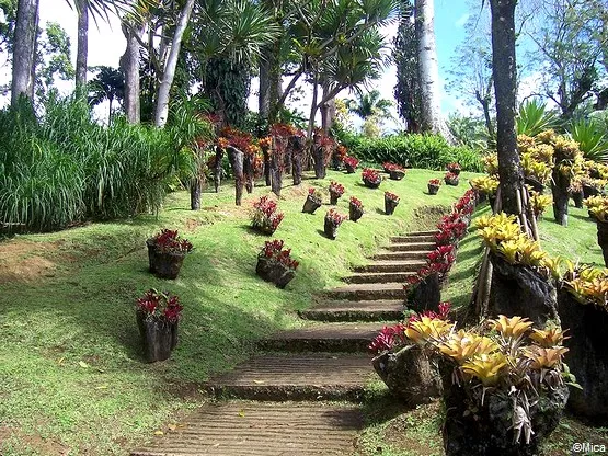 jardin de balata