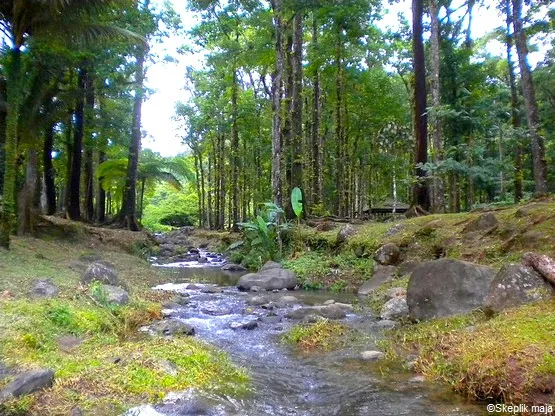 rivière blanche martinique