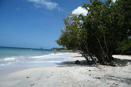 La petite plage de Fond Banane