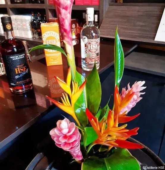 Dégustation rhum