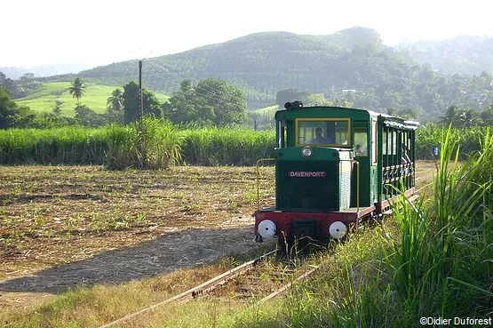 train des plantations