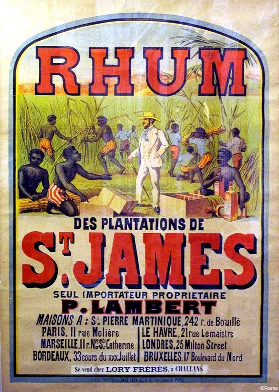 plantations martinique