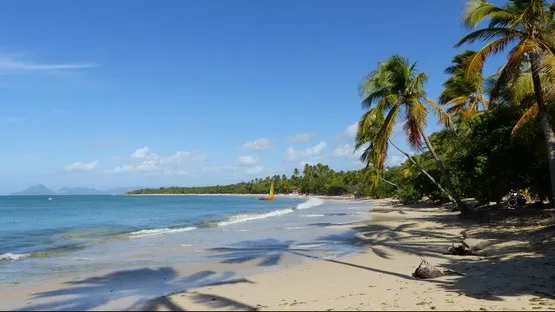 grande anse des salines martinique