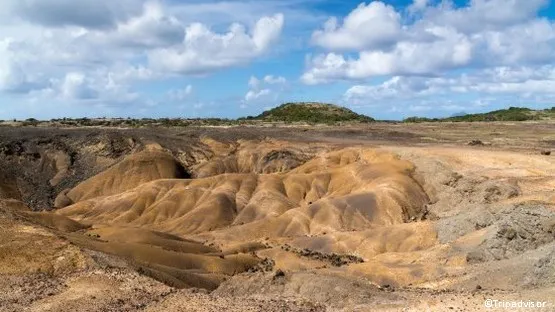 savane des petrifications