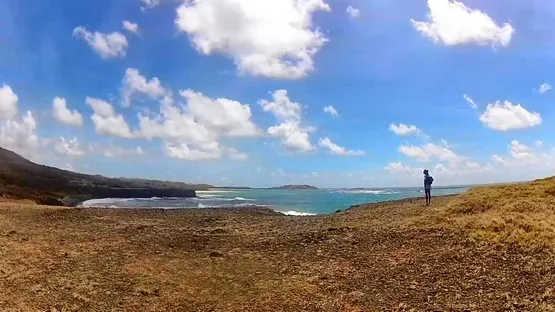 la savane des petrifications en martinique