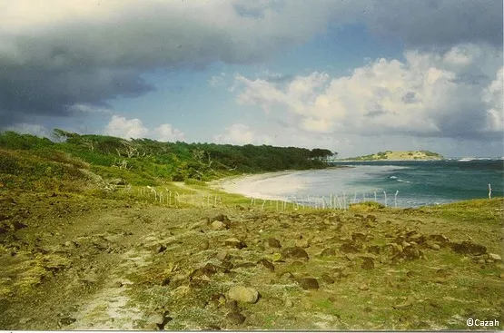 anse trabaud martinique