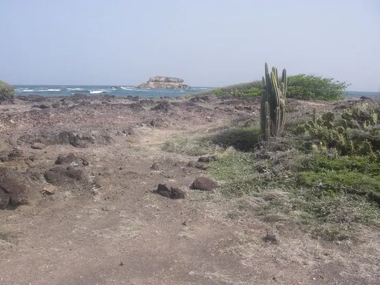 martinique savane