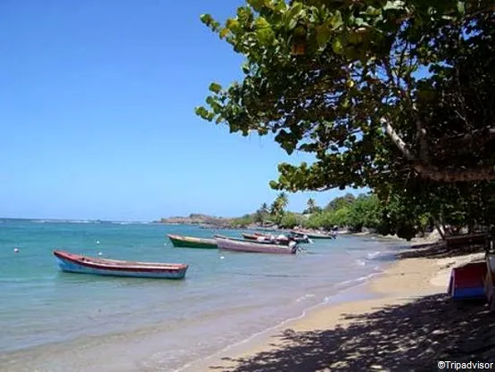 tartane martinique