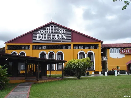 distillerie dillon martinique