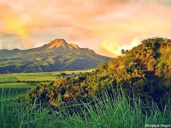 montagne pelée martinique