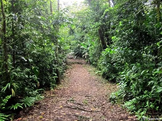 route de la trace des jésuites