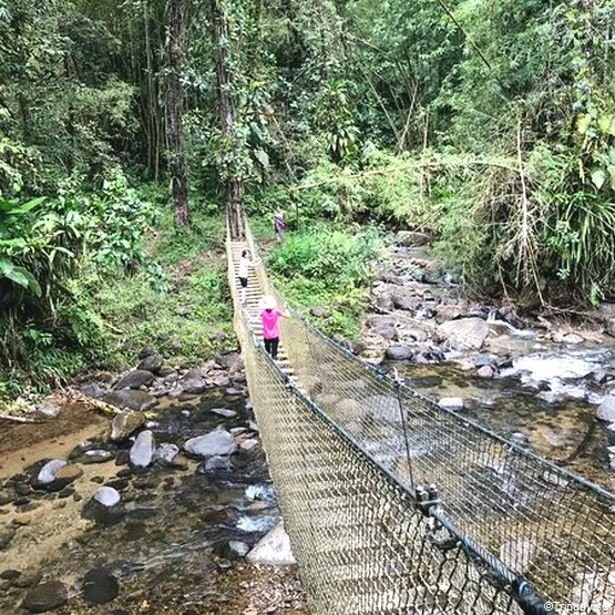 pont suspendu martinique