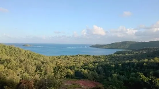 la caravelle martinique