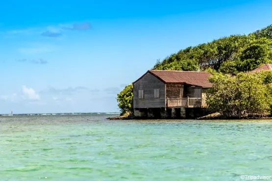 baie du robert martinique