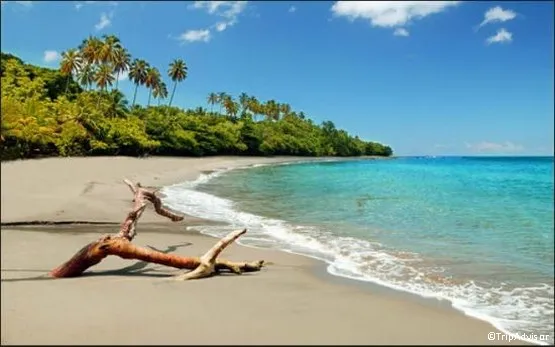 plage trois îlets