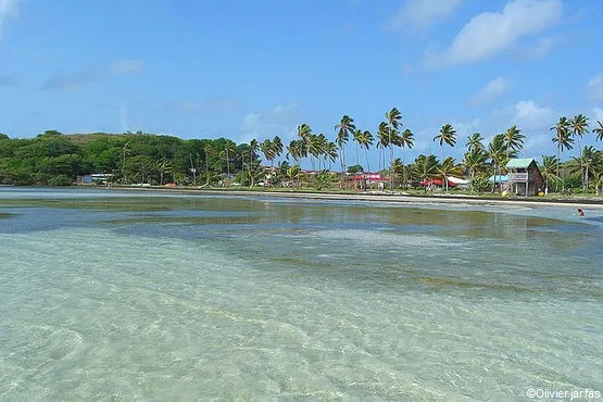 plage Pointe Faula