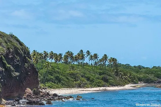 Plage Sainte-Anne