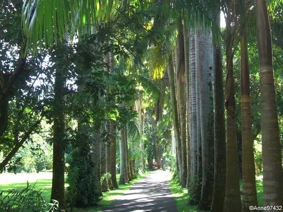 jardin île maurice