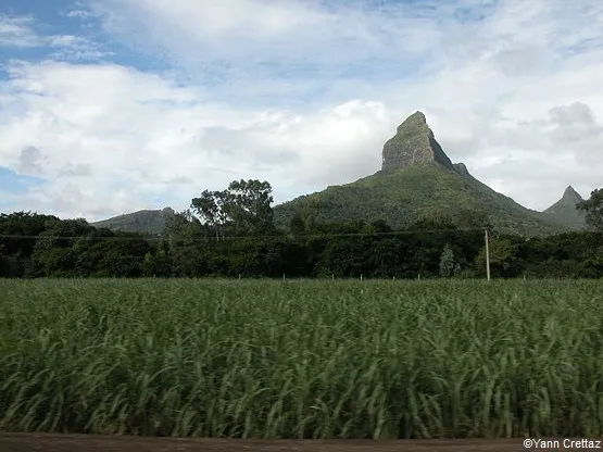 Piton petite Rivière noire