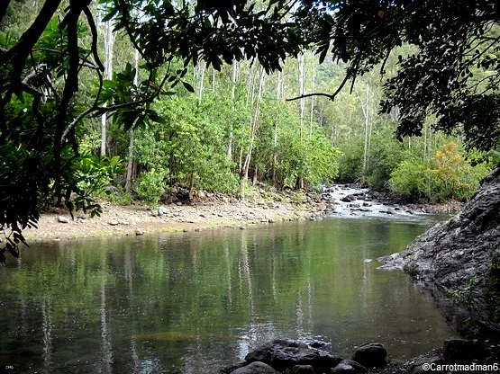 riviere noire ile maurice