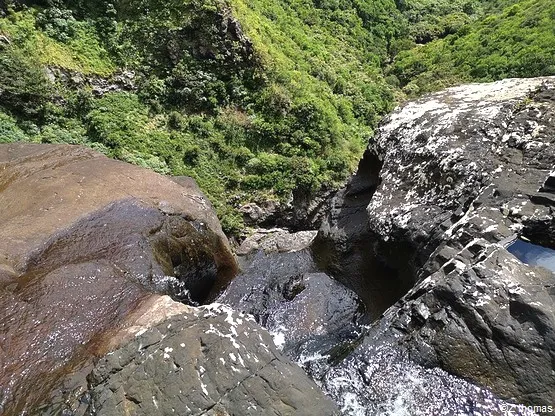 Tamarin île Maurice