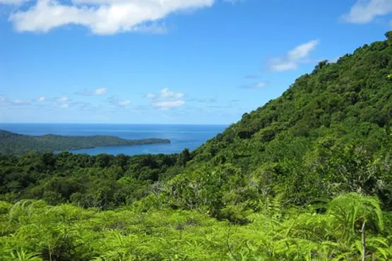 Le Mont Choungui à Mayotte