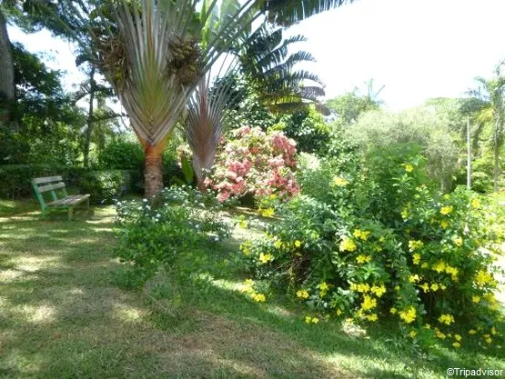 jardin botanique de Coconi