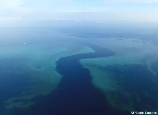 passe en S mayotte