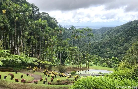 jardin de Balata