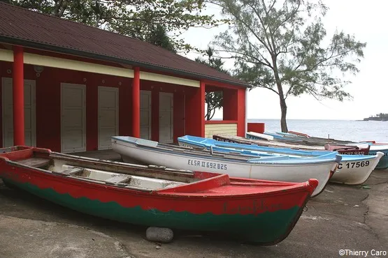 barques pêcheurs la réunion