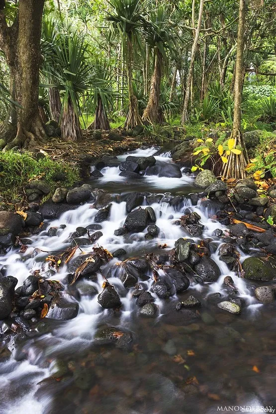 parc national réunion