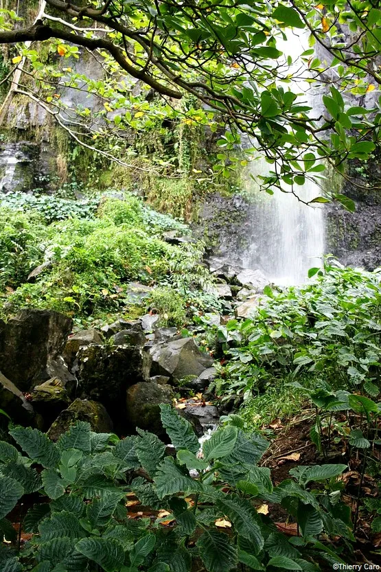 cascade anse des cascades