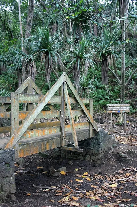 sentier anse des cascades