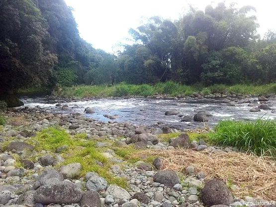 Rivière des Marsouins La Réunion