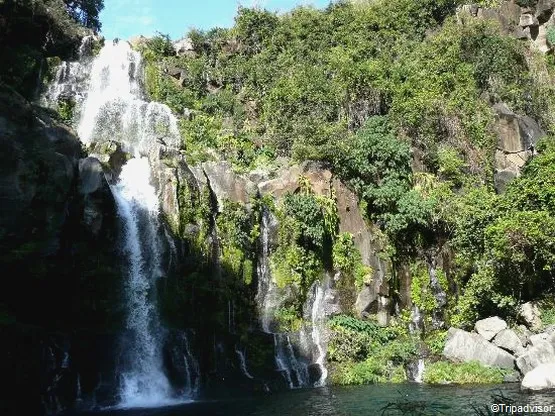 cascade bras rouge la réunion