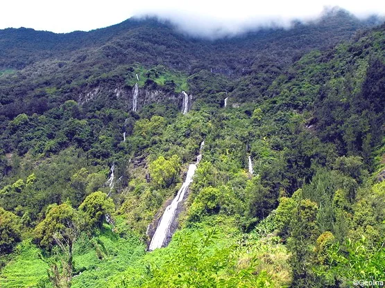 voile de la mariee la reunion