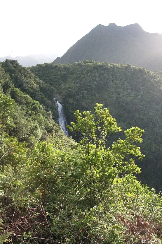 cascade du chien la reunion