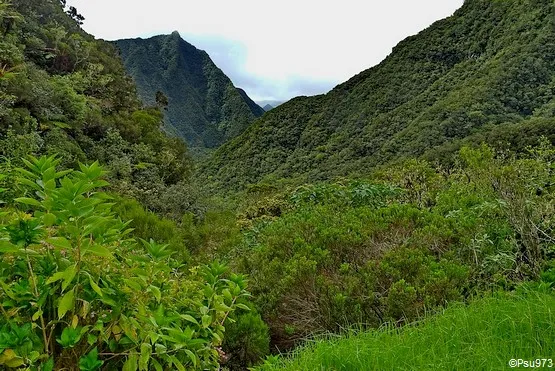 la reunion