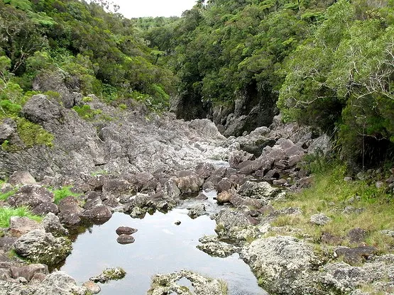 rivière des marsouins