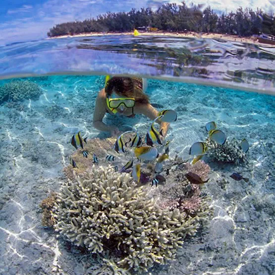 Snorkling à la réserve Marine