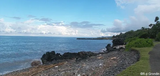 port du butor la reunion