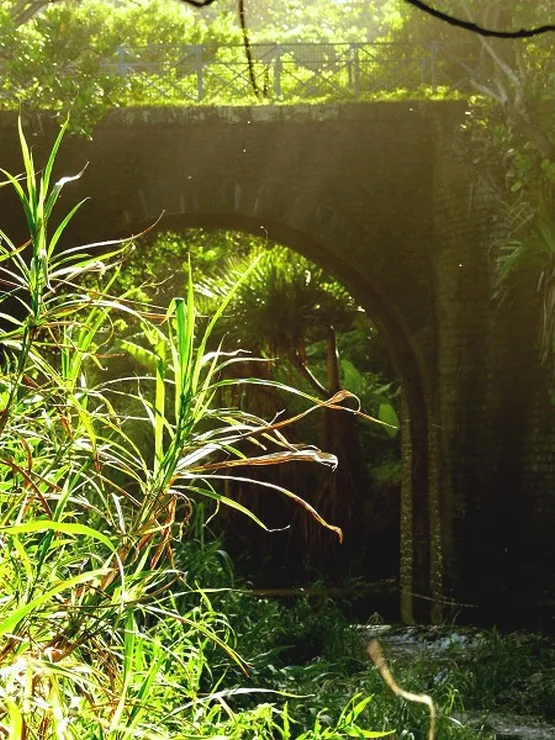 pont de la marine