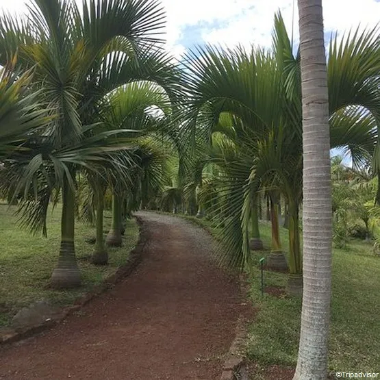 la réunion