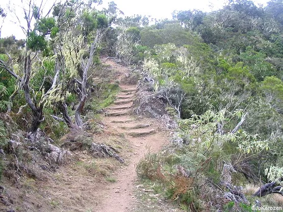 sentier sur Mafate