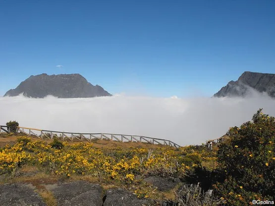 la réunion