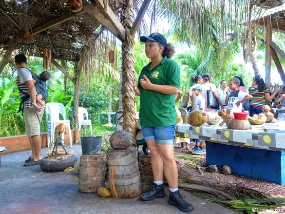 la maison du coco à la réunion