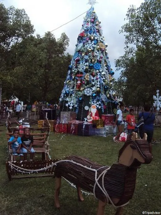 noel île de la réunion