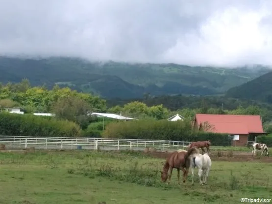 Bourg Murat la réunion