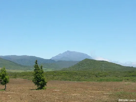 Plaine des Cafres La Réunion