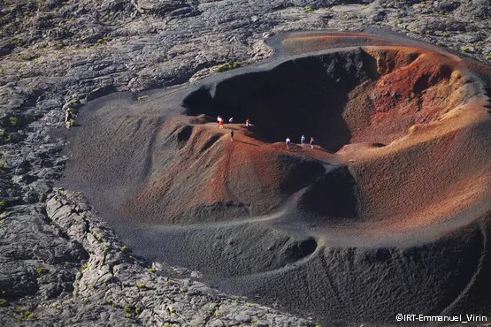 formica leo volcan la reunion